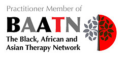 BAATN logo